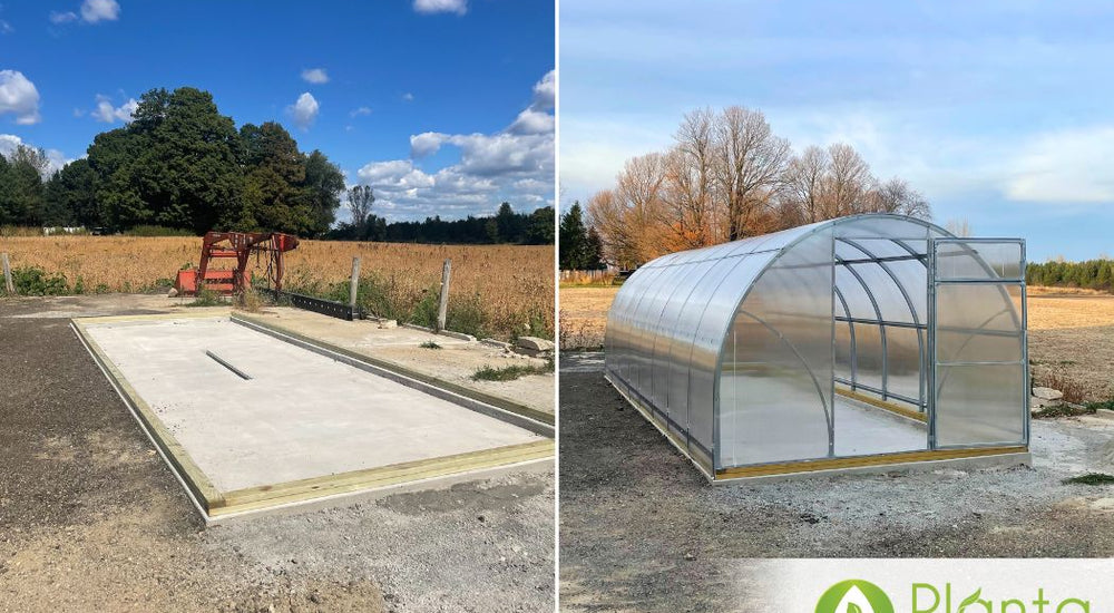 A Beautiful Greenhouse for My Wife