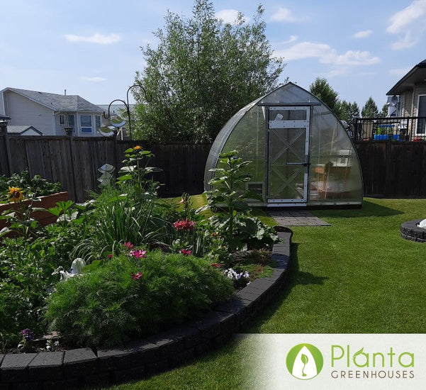 I really like this greenhouse...many of my visitors look at it and sure like it