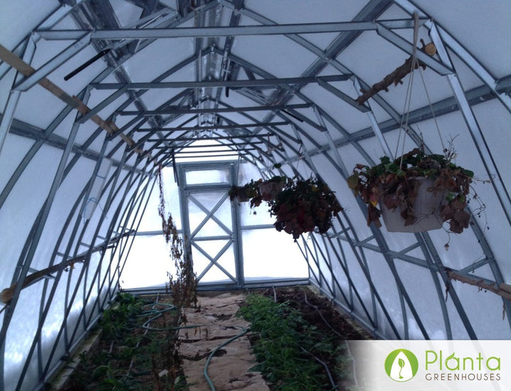 We were able to grow and harvest more and better quality tomatoes