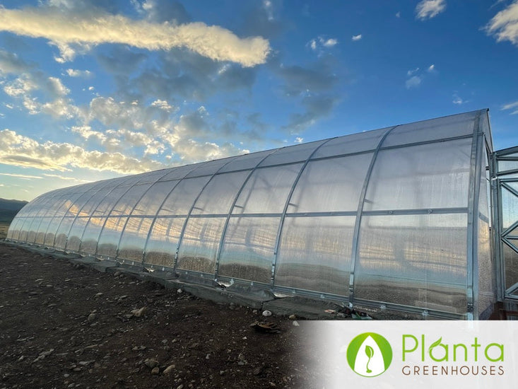 Upgraded to a 48' Sungrow