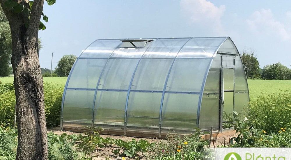 Greenhouse story from Pat in Ontario