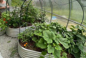 Morning Coffee in My Warm Greenhouse