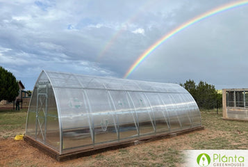 Considering buying a second greenhouse!