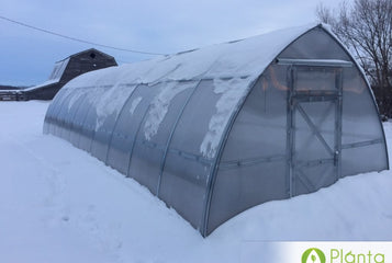 This 32' Sungrow model is exactly what we were looking for in a greenhouse