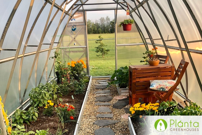 Delightful soil and plant scents in the greenhouse