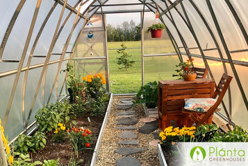 Delightful soil and plant scents in the greenhouse