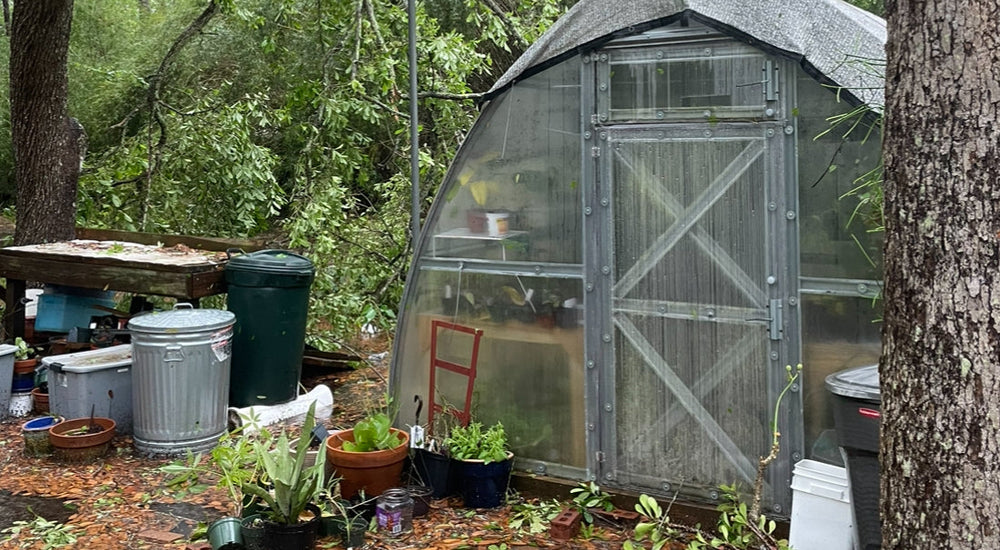 EF-2 Tornado Passed, Trees Damaged, but Greenhouse Unscathed