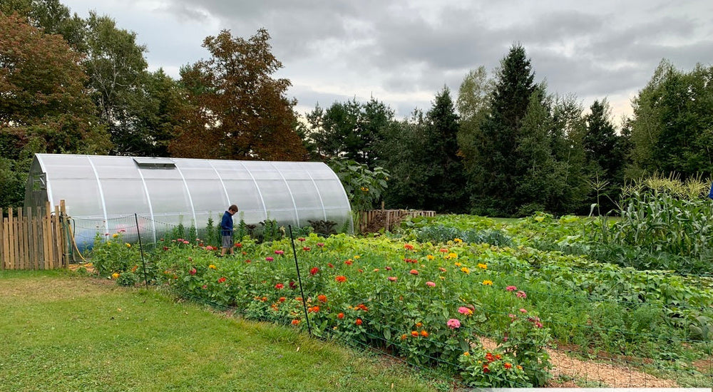 I love just being in the greenhouse anytime of the year!