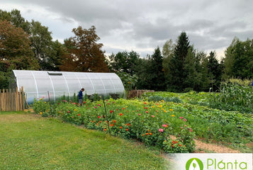 I love just being in the greenhouse anytime of the year!