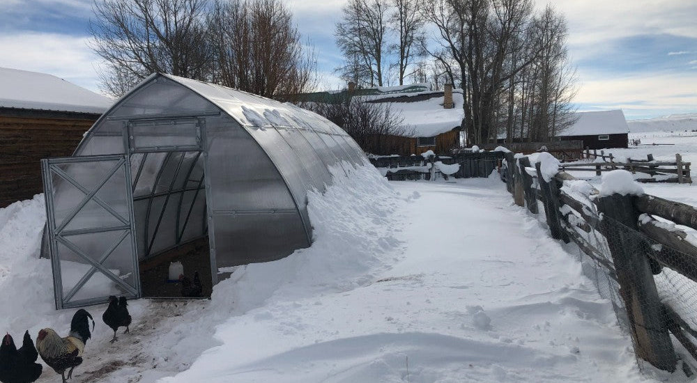 This greenhouse is great for a location with harsh conditions