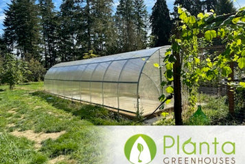 From Overwintering to Aquaponics