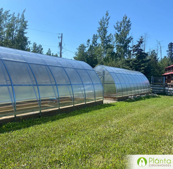 We spend lots of time in both of our greenhouses