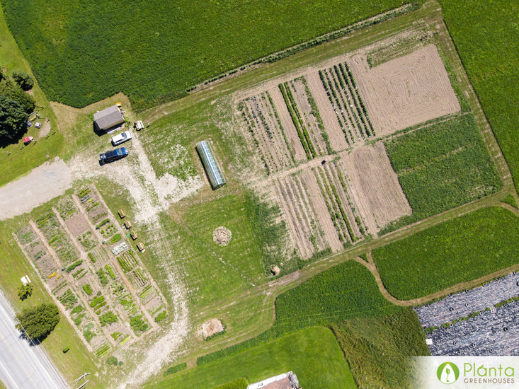 We produced over 100 kg of tomatoes