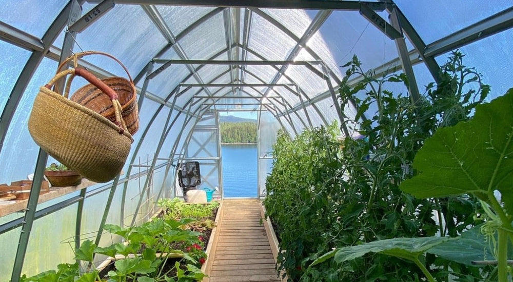 This greenhouse enables me to grow anything!