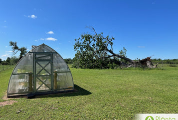 My Greenhouse Survived a small tornado!