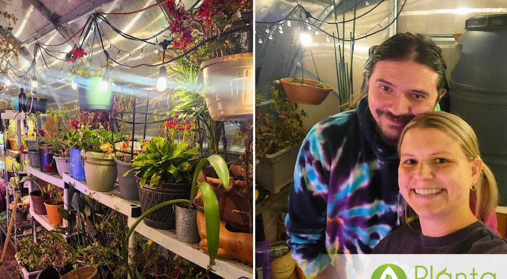 Chicago Cold, Cozy Greenhouse & a Love Story Inside
