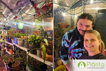Chicago Cold, Cozy Greenhouse & a Love Story Inside