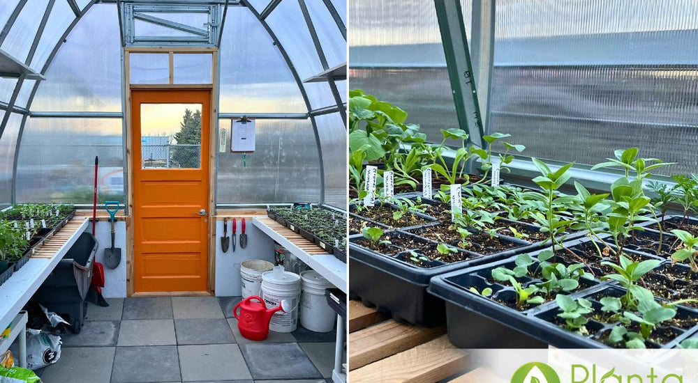 Now We’re Able to Start Our Own Plants!