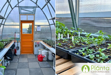 Now We’re Able to Start Our Own Plants!