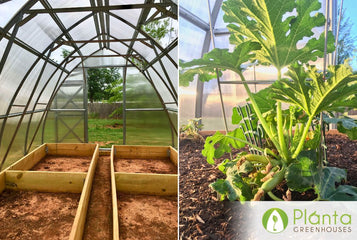 Healthy Plants and a Beautiful Greenhouse