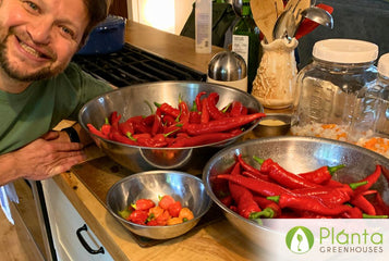 A Hot Pepper Paradise