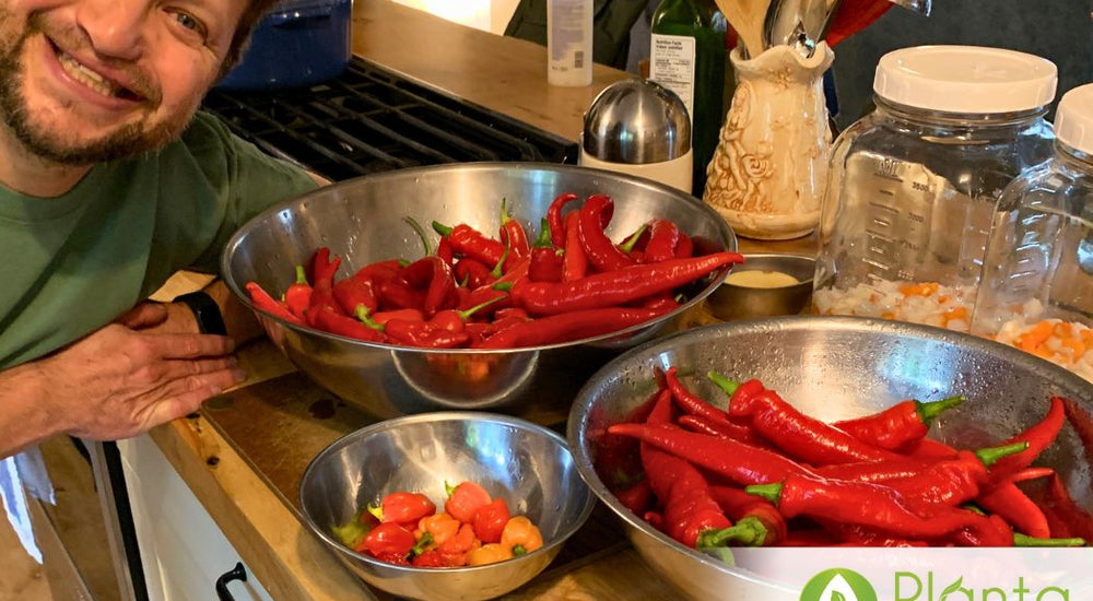 A Hot Pepper Paradise