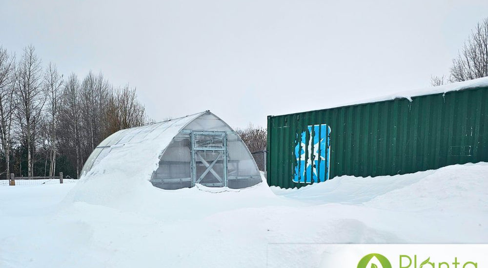 Extending Our Season in the Harsh North