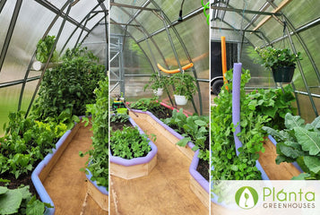 From Short Seasons to Full Harvests