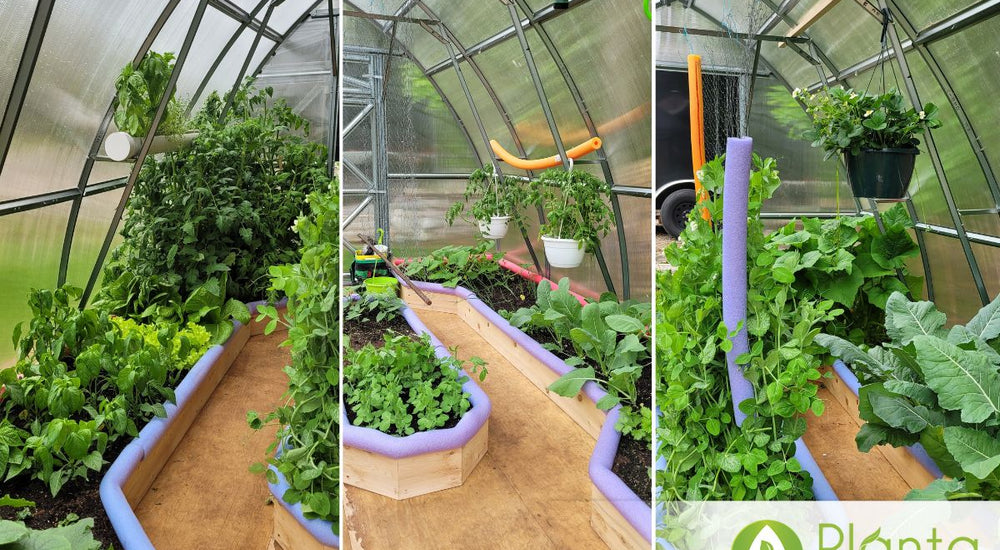 From Short Seasons to Full Harvests