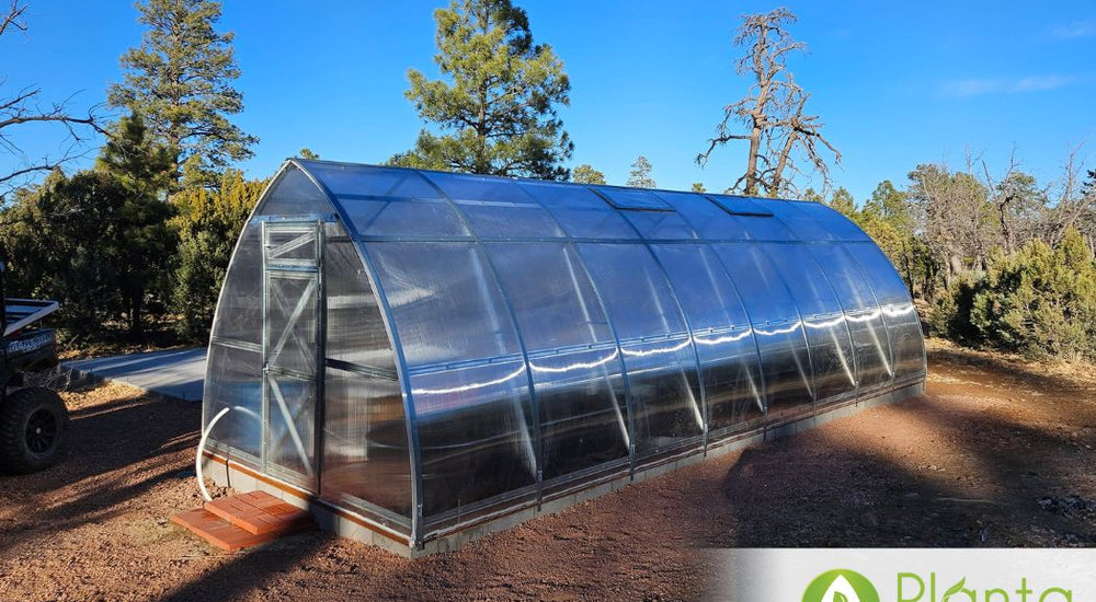 Durable Greenhouse for Homestead Success