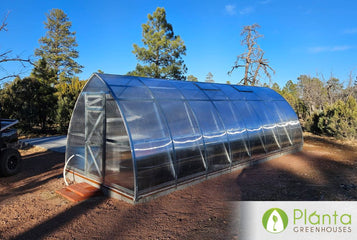 Durable Greenhouse for Homestead Success