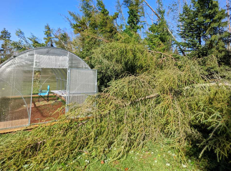 How our greenhouse survived Hurricane Fiona!