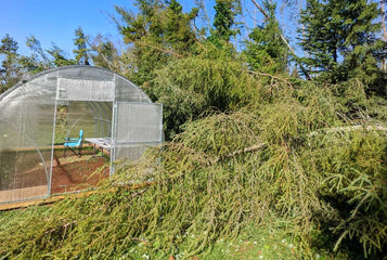 How our greenhouse survived Hurricane Fiona!