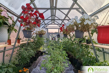 Plants wouldn't survive without the warmth of the greenhouse