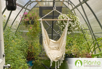 Frost-sensitive plants can thrive earlier