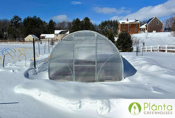 A Warm Winter Garden
