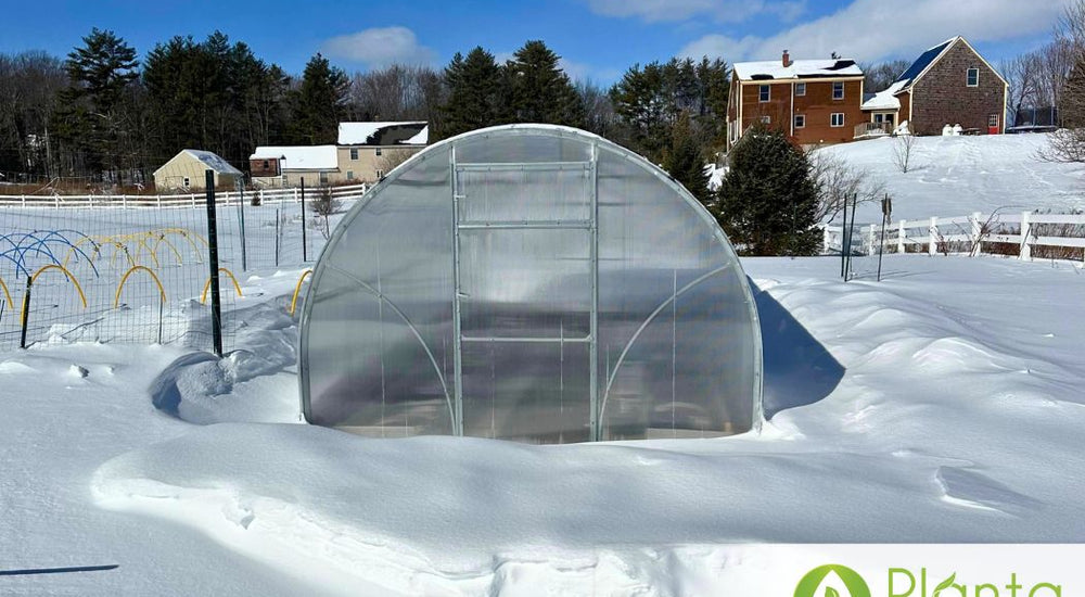 A Warm Winter Garden