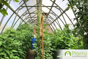 Extends the Growing Season and Keeps Our Chickens Warm in Winter!