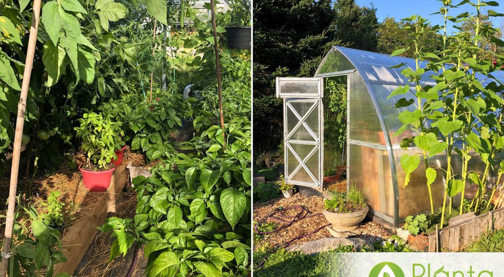Loving My Greenhouse