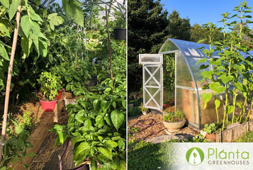 Loving My Greenhouse