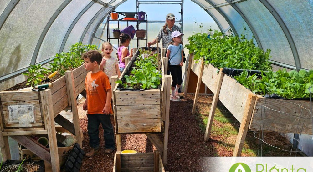 Turning It Into a 4-Season Greenhouse