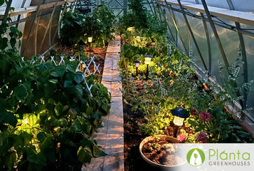 Herbs, Flowers & Veggies