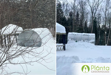 Growing Through Canadian Winters