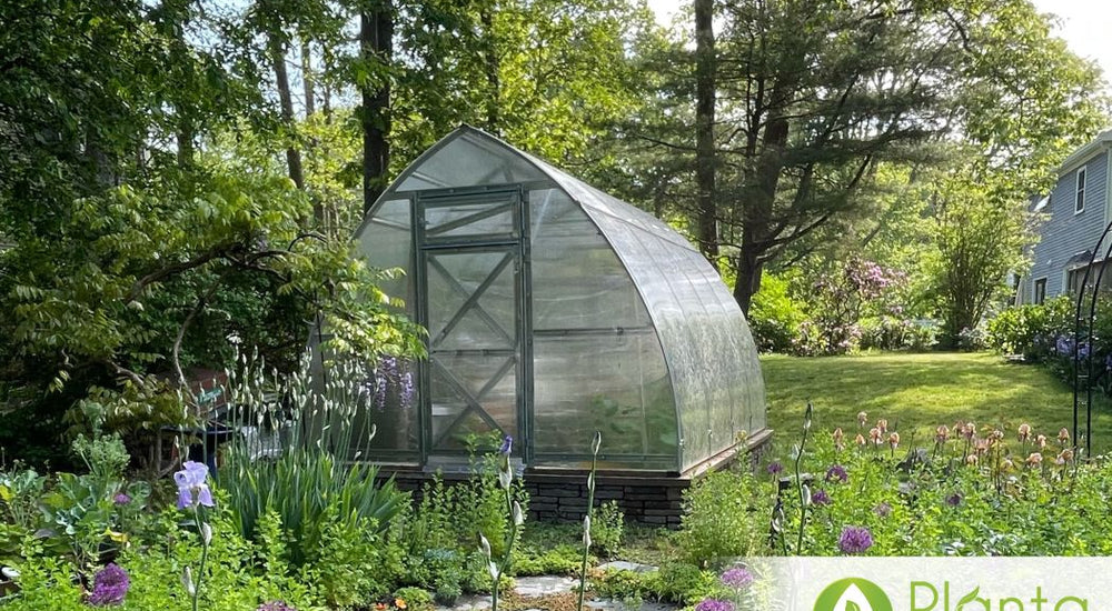 A Warm Escape in Our Backyard