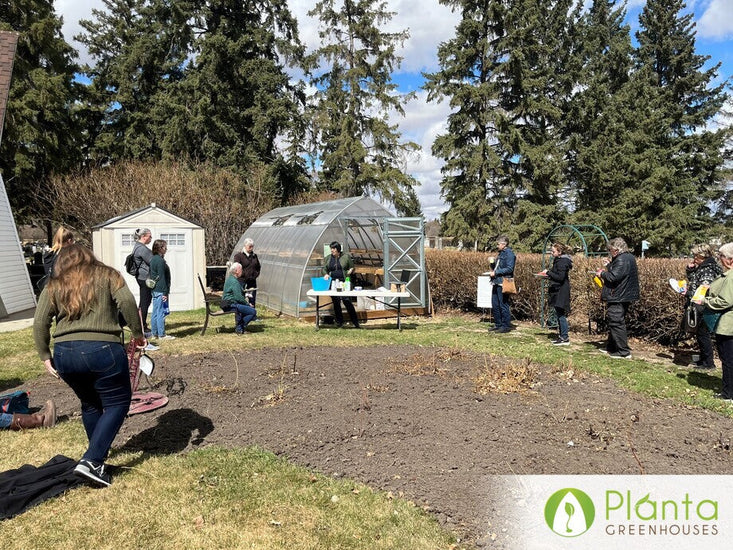 Star Garden: Growing With Purpose