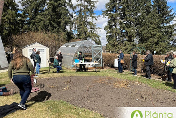 Star Garden: Growing With Purpose