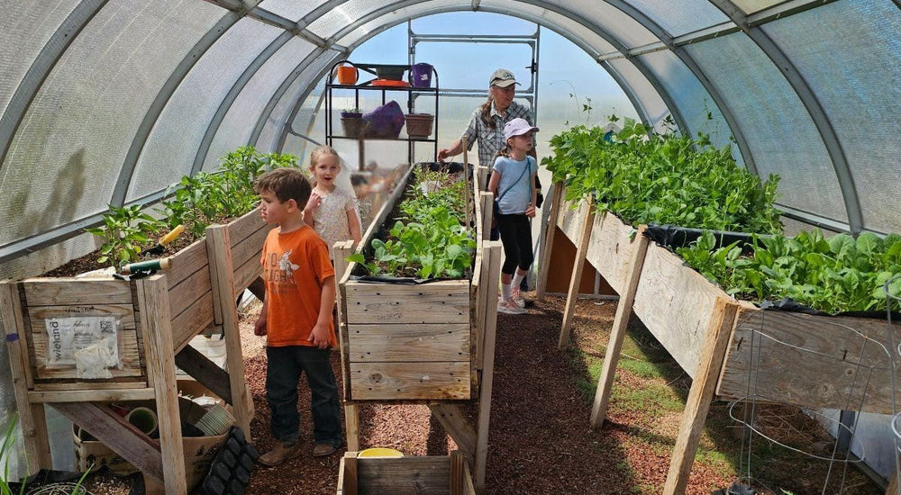 Turning It Into a 4-Season Greenhouse