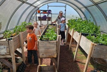 Turning It Into a 4-Season Greenhouse