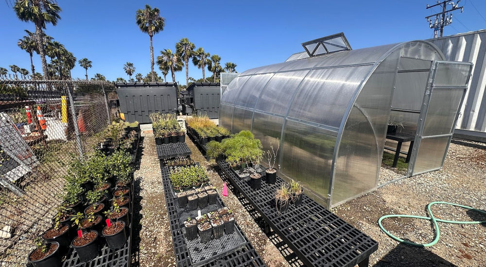 Growing Native Plants Faster with the Sungrow Urban Greenhouse