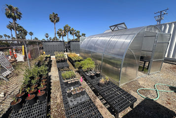 Growing Native Plants Faster with the Sungrow Urban Greenhouse